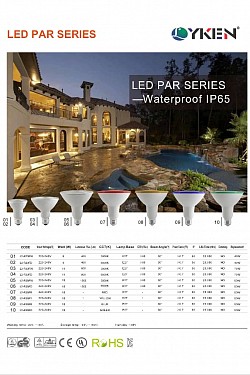 LED PAR 38 COLOR IP65