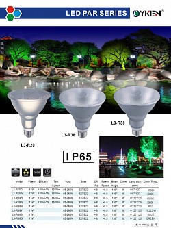 LED PAR38  COLOR BULD (COLOR CHIP)