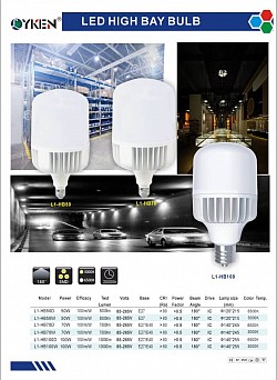 LED HIGH BAY BULB 50W,70W,100W