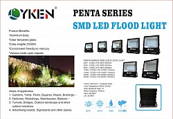 PENTA SERIES FLOOD LIGHT 20w,30w,50w,100w,150w,200w,300w (3000K,6500K)
