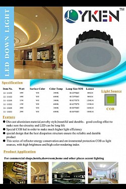 LED DOWN LIGHT ROUND (COB CHIP)