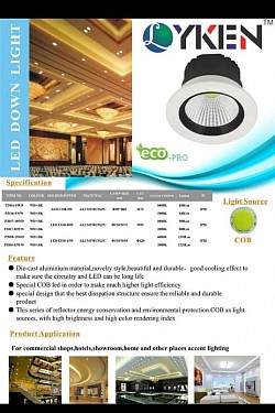 LED DOWN LIGHT ECO PRO (COB CHIP)