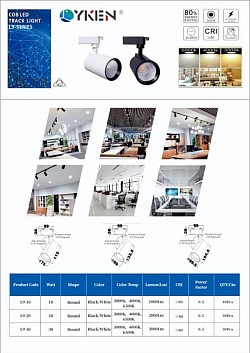 Lyken Led Track Light 10w,20w,30w (3000k,6500k)